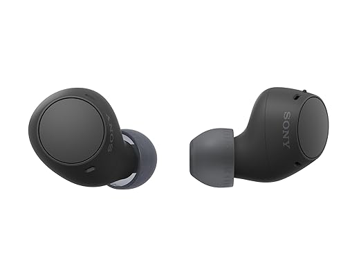 Sony WF-C510 Wireless Bluetooth Earbuds with Mic, TWS, in Ear, Ambient Sound Mode, Small and Comfortable, IPX4, Quick Charge, Multipoint Connectivity, Customized EQ, Up to 22 Hours Battery